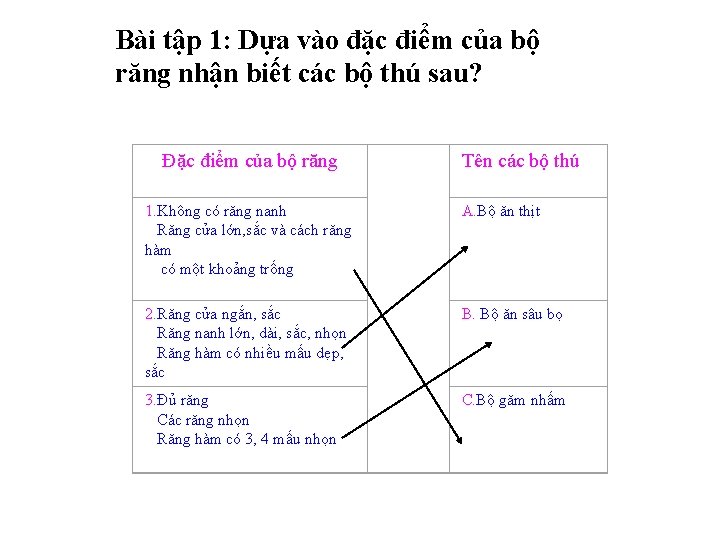 Bài tập 1: Dựa vào đặc điểm của bộ răng nhận biết các bộ