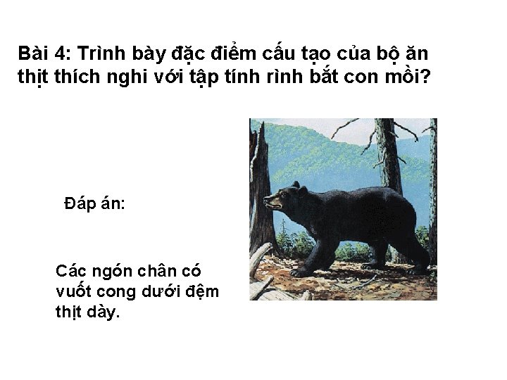 Bài 4: Trình bày đặc điểm cấu tạo của bộ ăn thịt thích nghi