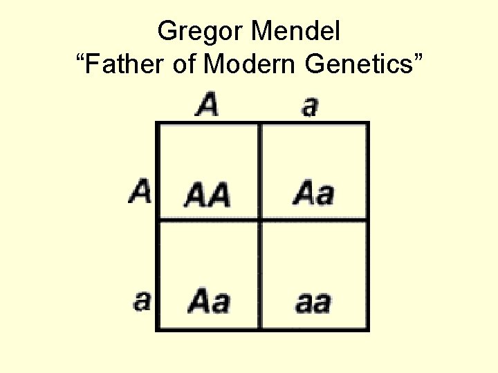 Gregor Mendel “Father of Modern Genetics” 