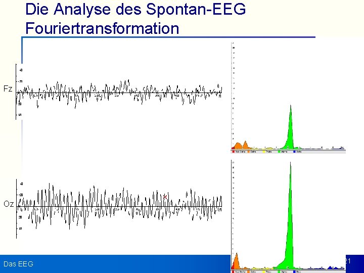Die Analyse des Spontan-EEG Fouriertransformation Fz Oz Das EEG 21 