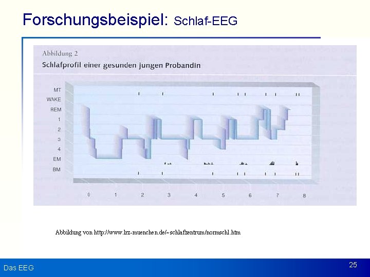 Forschungsbeispiel: Schlaf-EEG Abbildung von http: //www. lrz-muenchen. de/~schlafzentrum/normschl. htm Das EEG 25 