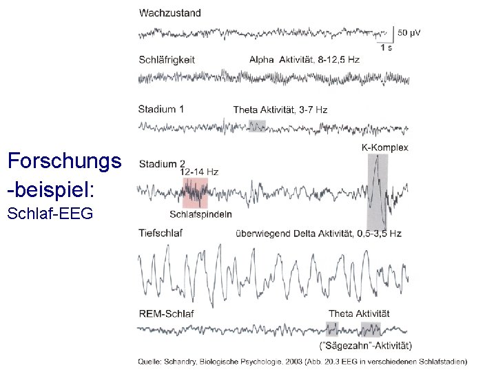 Forschungs -beispiel: Schlaf-EEG 26 