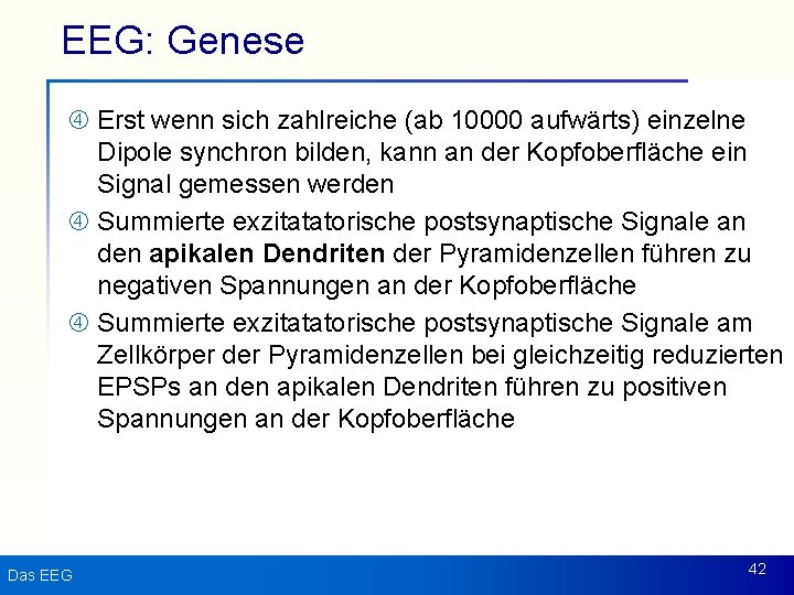 EEG: Genese Erst wenn sich zahlreiche (ab 10000 aufwärts) einzelne Dipole synchron bilden, kann