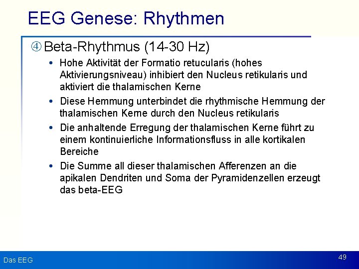 EEG Genese: Rhythmen Beta-Rhythmus (14 -30 Hz) Hohe Aktivität der Formatio retucularis (hohes Aktivierungsniveau)