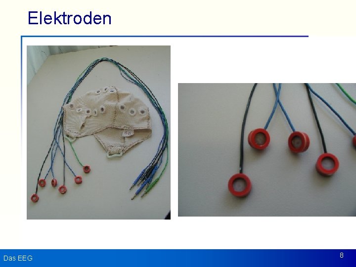 Elektroden Das EEG 8 