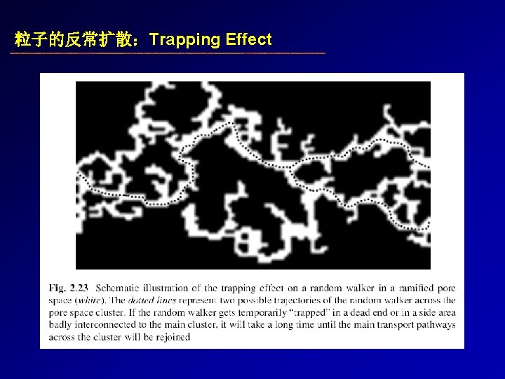 粒子的反常扩散：Trapping Effect 