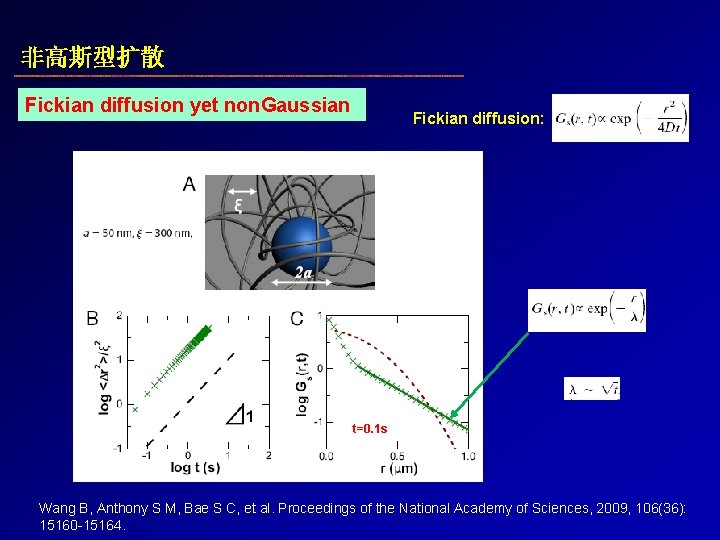 非高斯型扩散 Fickian diffusion yet non. Gaussian Fickian diffusion: t=0. 1 s Wang B, Anthony