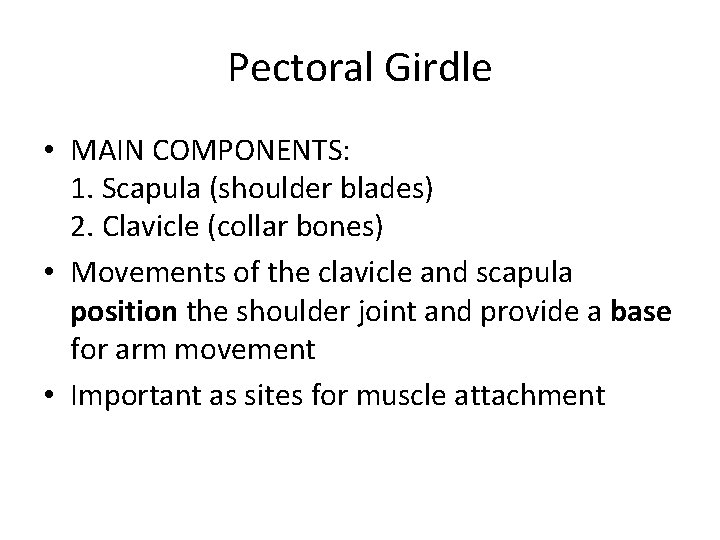 Pectoral Girdle • MAIN COMPONENTS: 1. Scapula (shoulder blades) 2. Clavicle (collar bones) •