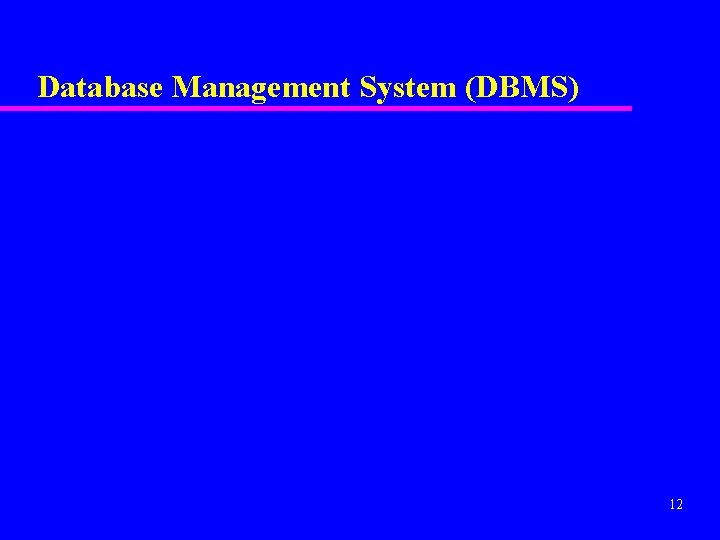 Database Management System (DBMS) 12 
