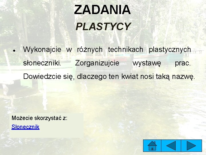 ZADANIA PLASTYCY Wykonajcie w różnych technikach plastycznych słoneczniki. Zorganizujcie wystawę prac. Dowiedzcie się, dlaczego