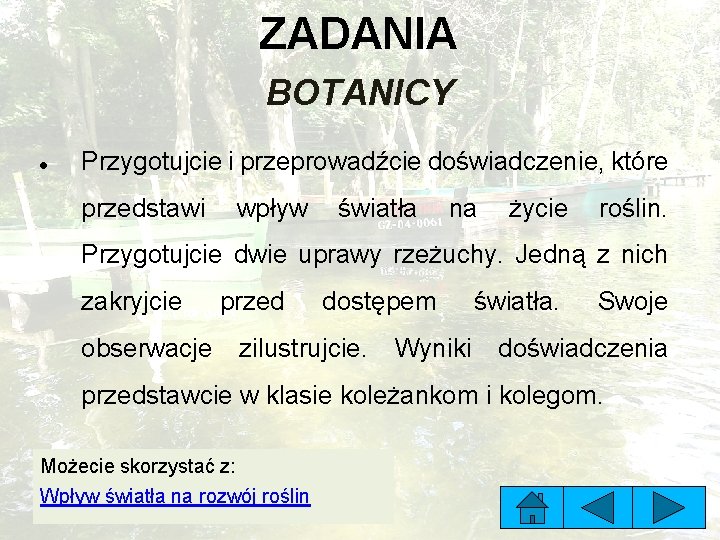 ZADANIA BOTANICY Przygotujcie i przeprowadźcie doświadczenie, które przedstawi wpływ światła na życie roślin. Przygotujcie