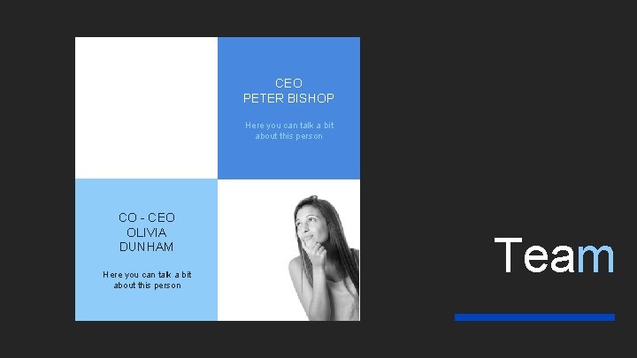 CEO PETER BISHOP Here you can talk a bit about this person CO -