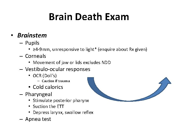 Brain Death Exam • Brainstem – Pupils • ≥ 4 -9 mm, unresponsive to