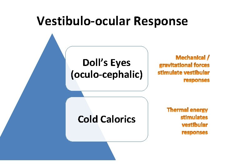 Vestibulo-ocular Response Doll’s Eyes (oculo-cephalic) Cold Calorics 