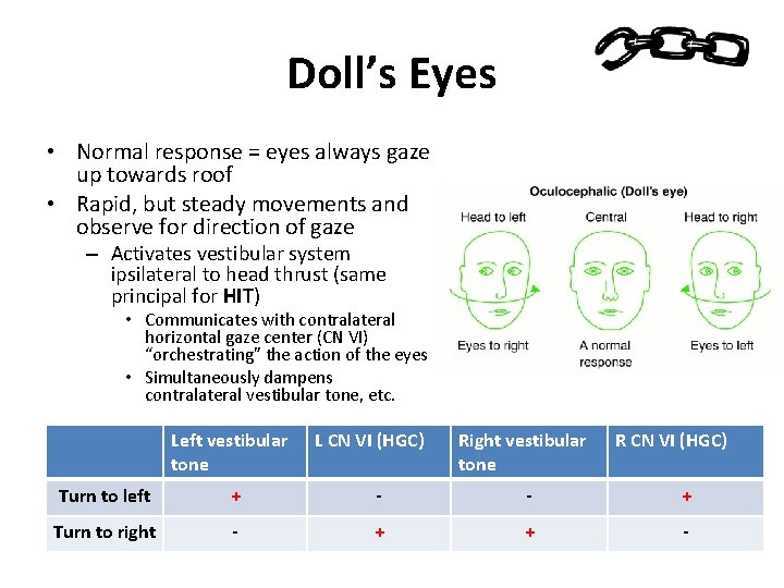 Doll’s Eyes • Normal response = eyes always gaze up towards roof • Rapid,