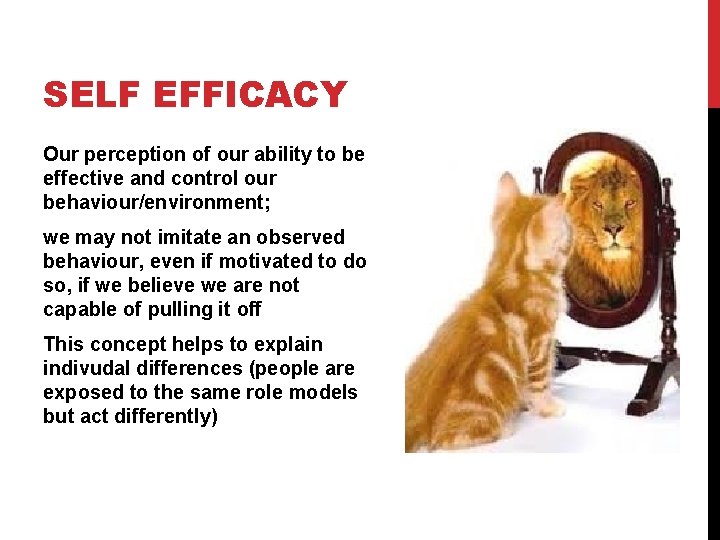 SELF EFFICACY Our perception of our ability to be effective and control our behaviour/environment;
