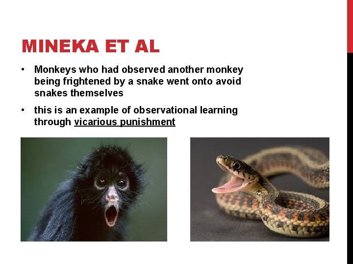 MINEKA ET AL • Monkeys who had observed another monkey being frightened by a