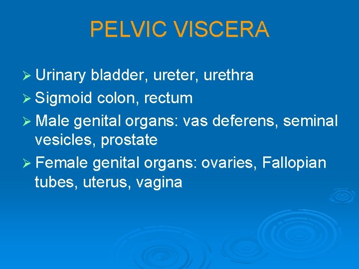 PELVIC VISCERA Ø Urinary bladder, urethra Ø Sigmoid colon, rectum Ø Male genital organs: