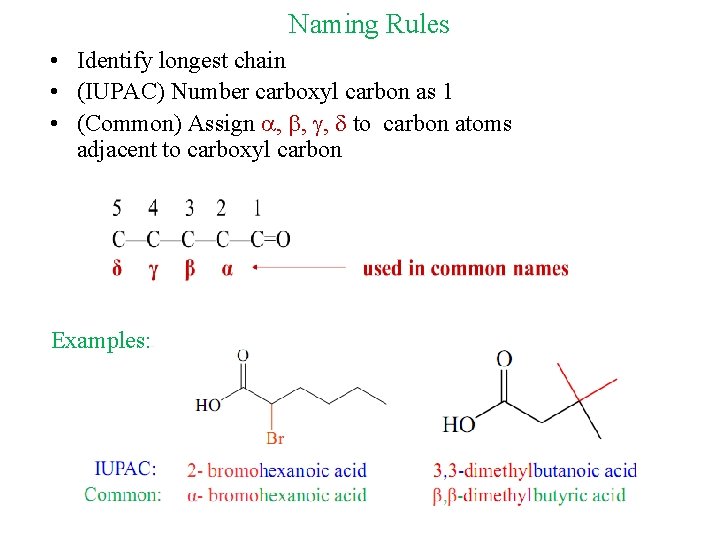 Naming Rules • Identify longest chain • (IUPAC) Number carboxyl carbon as 1 •