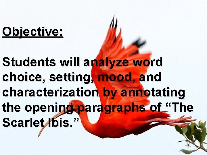 Objective: Students will analyze word choice, setting, mood, and characterization by annotating the opening