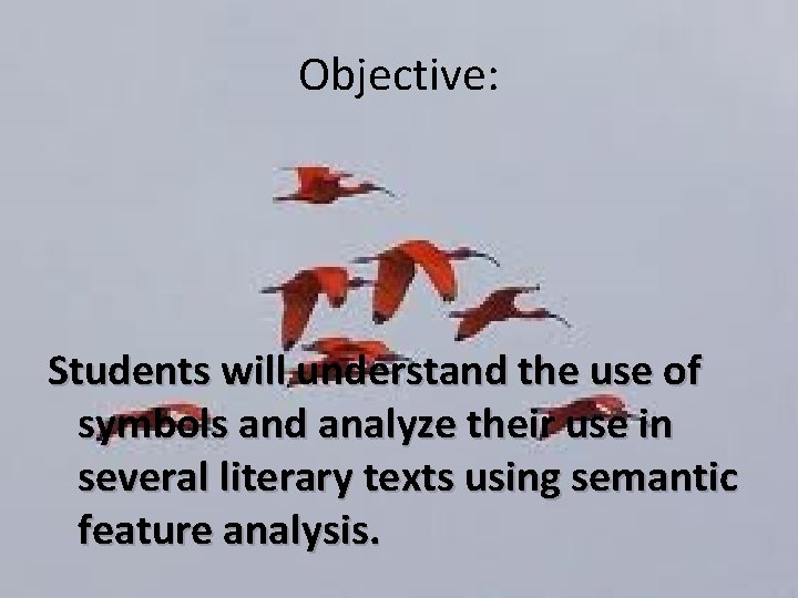 Objective: Students will understand the use of symbols and analyze their use in several