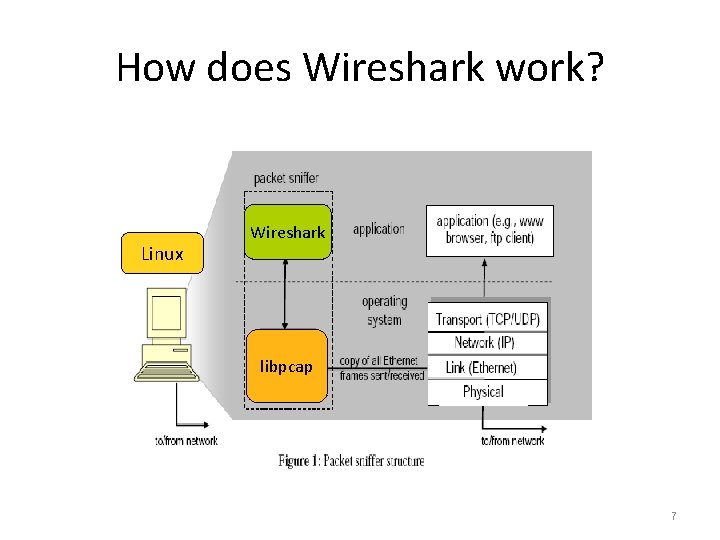 How does Wireshark work? Windows Linux Wireshark libpcap Winpcap 7 