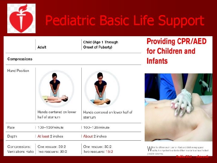 Pediatric Basic Life Support Pedia BLS ---rbt 2016 --- 