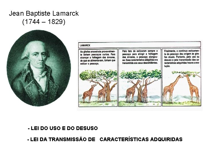 Jean Baptiste Lamarck (1744 – 1829) - LEI DO USO E DO DESUSO -