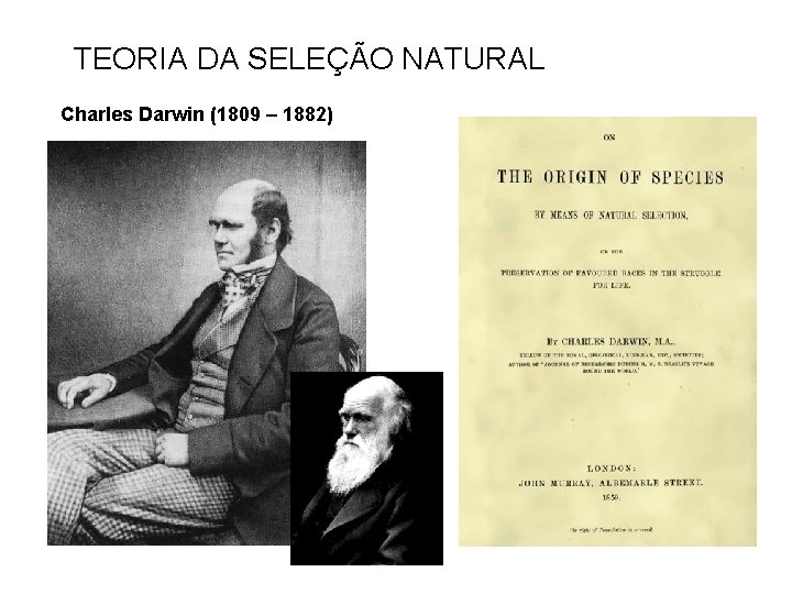 TEORIA DA SELEÇÃO NATURAL Charles Darwin (1809 – 1882) 