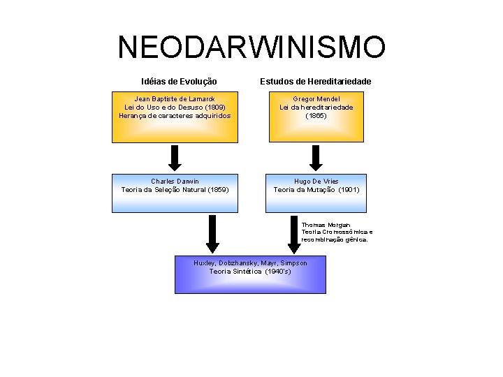 NEODARWINISMO Idéias de Evolução Estudos de Hereditariedade Jean Baptiste de Lamarck Lei do Uso