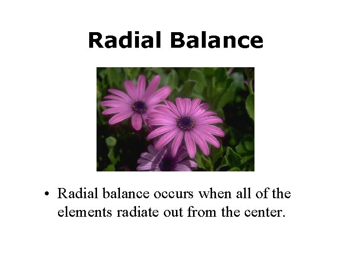 Radial Balance • Radial balance occurs when all of the elements radiate out from