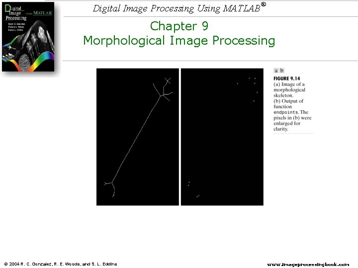 Digital Image Processing Using MATLAB ® Chapter 9 Morphological Image Processing © 2004 R. Digital Image Processing Using MATLAB ® Chapter 9 Morphological Image Processing © 2004 R.