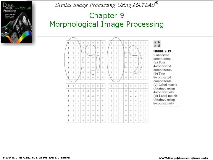 Digital Image Processing Using MATLAB ® Chapter 9 Morphological Image Processing © 2004 R. Digital Image Processing Using MATLAB ® Chapter 9 Morphological Image Processing © 2004 R.
