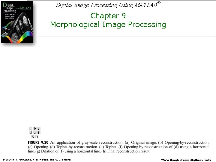 Digital Image Processing Using MATLAB ® Chapter 9 Morphological Image Processing © 2004 R. Digital Image Processing Using MATLAB ® Chapter 9 Morphological Image Processing © 2004 R.