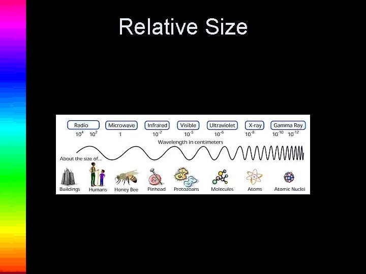 Relative Size 