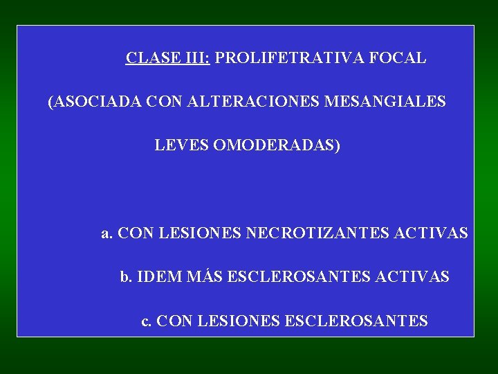 CLASE III: PROLIFETRATIVA FOCAL (ASOCIADA CON ALTERACIONES MESANGIALES LEVES OMODERADAS) a. CON LESIONES NECROTIZANTES