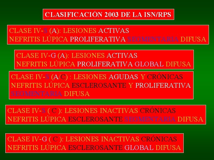 CLASIFICACIÓN 2003 DE LA ISN/RPS CLASE IV-S (A): LESIONES ACTIVAS NEFRITIS LÚPICA PROLIFERATIVA SEGMENTARIA