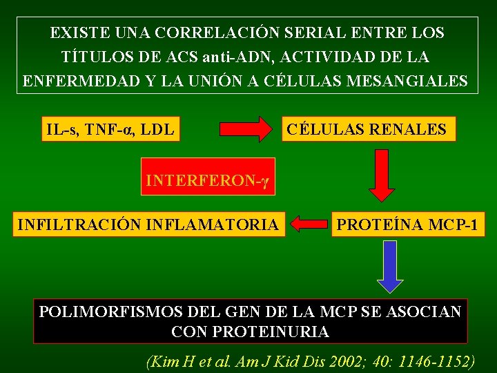 EXISTE UNA CORRELACIÓN SERIAL ENTRE LOS TÍTULOS DE ACS anti-ADN, ACTIVIDAD DE LA ENFERMEDAD