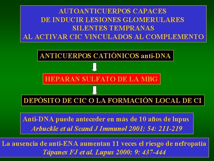 AUTOANTICUERPOS CAPACES DE INDUCIR LESIONES GLOMERULARES SILENTES TEMPRANAS AL ACTIVAR CIC VINCULADOS AL COMPLEMENTO