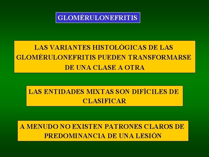 GLOMÉRULONEFRITIS LAS VARIANTES HISTOLÓGICAS DE LAS GLOMÉRULONEFRITIS PUEDEN TRANSFORMARSE DE UNA CLASE A OTRA