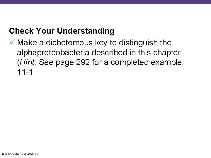 Check Your Understanding Make a dichotomous key to distinguish the alphaproteobacteria described in this