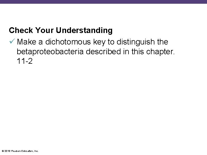 Check Your Understanding Make a dichotomous key to distinguish the betaproteobacteria described in this