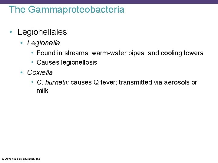 The Gammaproteobacteria • Legionellales • Legionella • Found in streams, warm-water pipes, and cooling