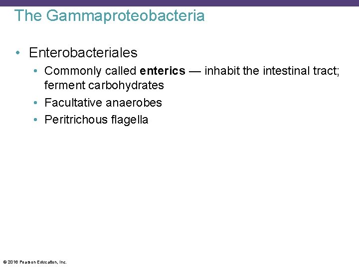 The Gammaproteobacteria • Enterobacteriales • Commonly called enterics — inhabit the intestinal tract; ferment