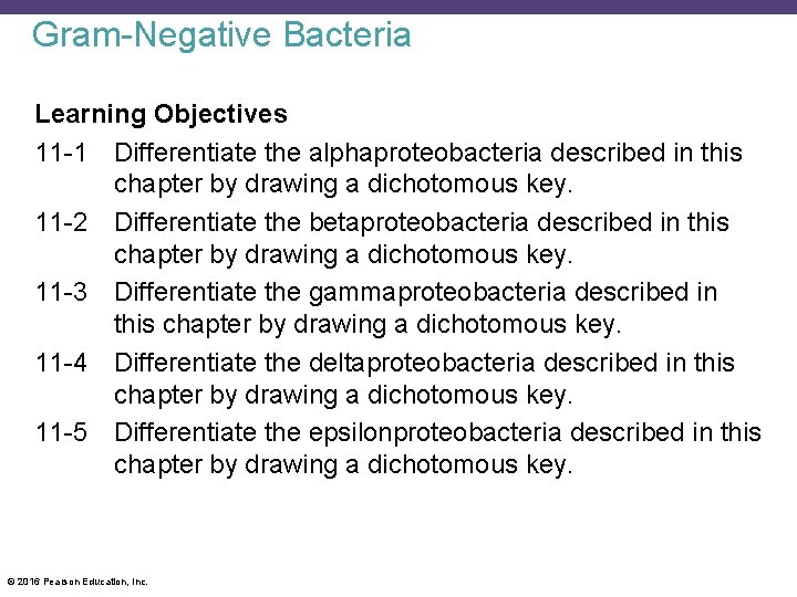 Gram-Negative Bacteria Learning Objectives 11 -1 Differentiate the alphaproteobacteria described in this chapter by