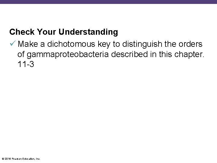 Check Your Understanding Make a dichotomous key to distinguish the orders of gammaproteobacteria described