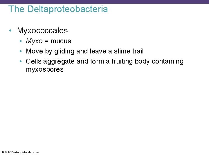 The Deltaproteobacteria • Myxococcales • Myxo = mucus • Move by gliding and leave