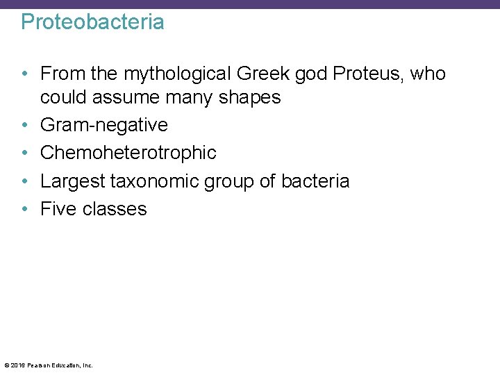 Proteobacteria • From the mythological Greek god Proteus, who could assume many shapes •