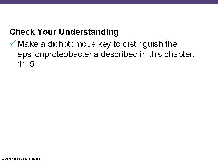 Check Your Understanding Make a dichotomous key to distinguish the epsilonproteobacteria described in this