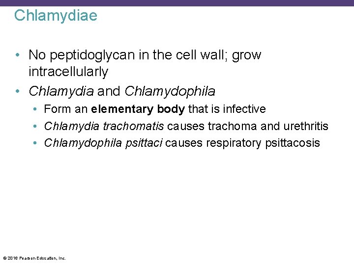 Chlamydiae • No peptidoglycan in the cell wall; grow intracellularly • Chlamydia and Chlamydophila